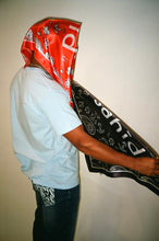 Load image into Gallery viewer, paisley motif scarf
